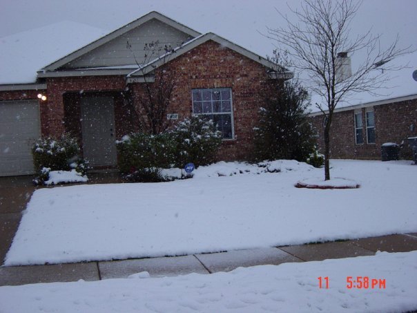 Sean Fleming's album, Texas snow 2/11/2010