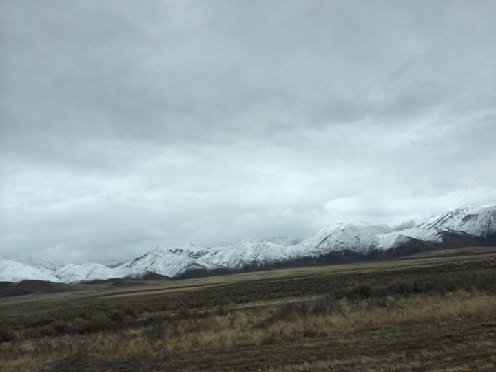 David Hoag's album, Mobile Uploads