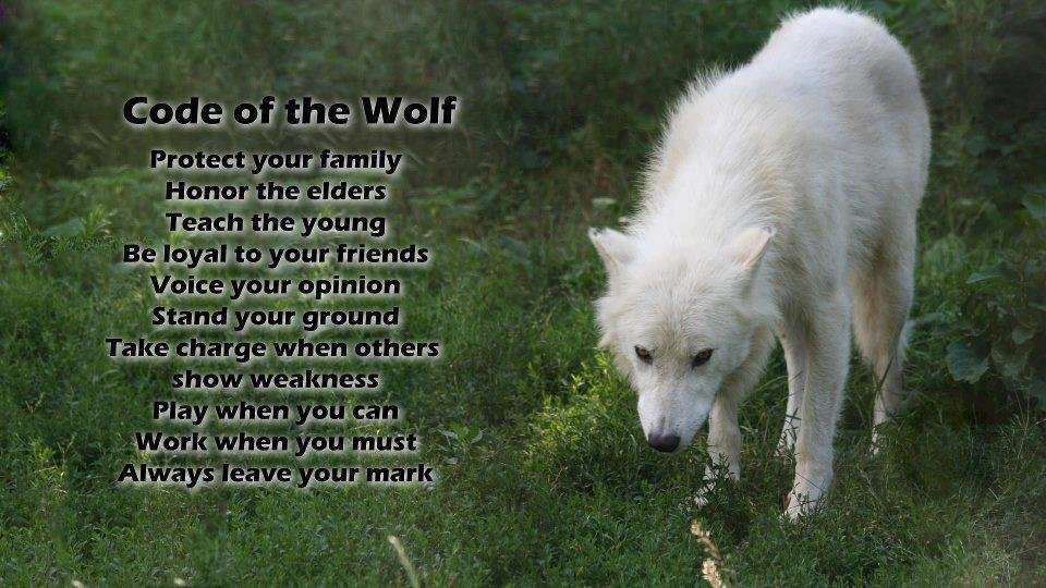 Ray Lynch's album, Timeline Photos