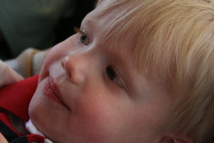 Robyn Stenzel's album, Wyatt's 1st birthday