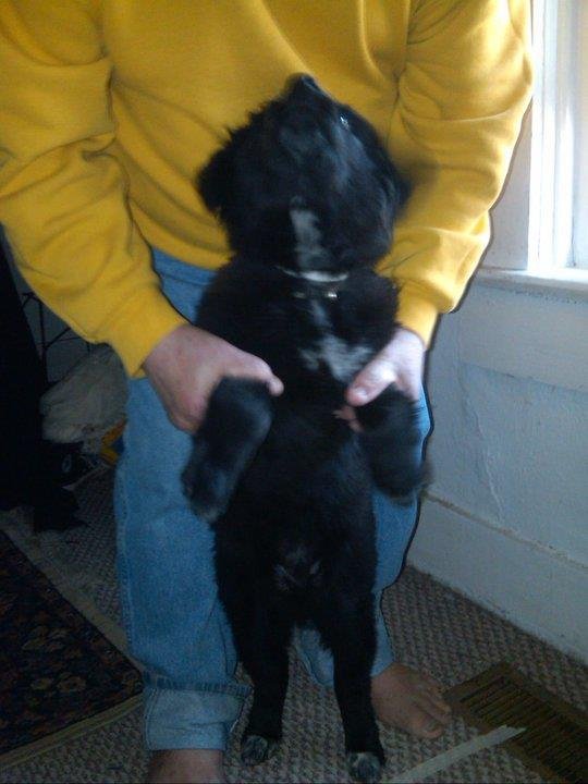 Dennis Davis' album, April 18, 2011 New Puppy