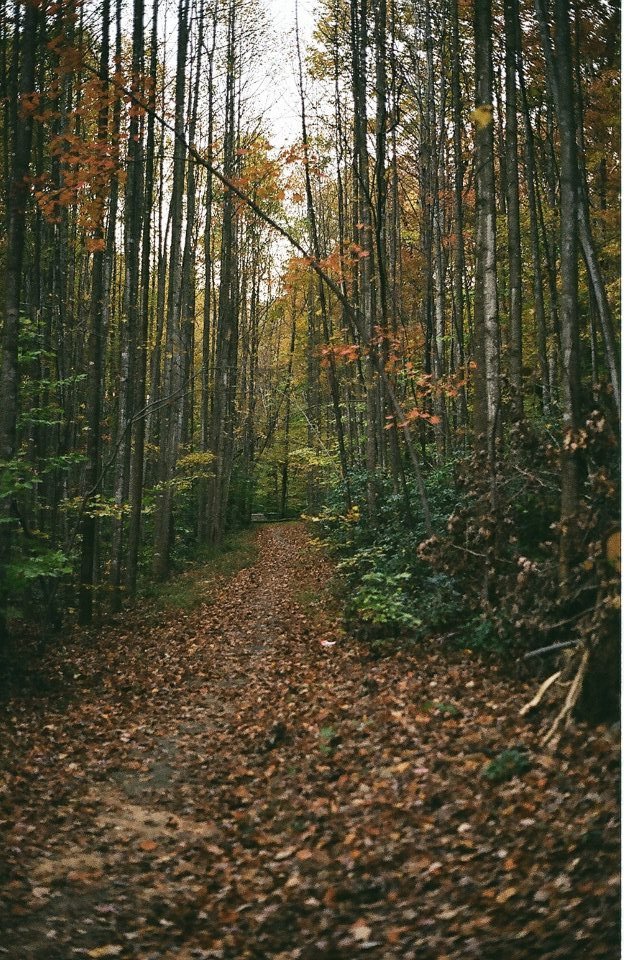 Michael Donovan's album, November 18, 2011