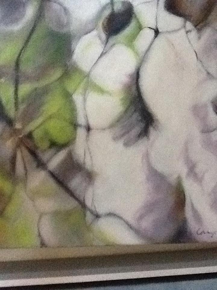 Nancy Canyon's album, Mobile Uploads