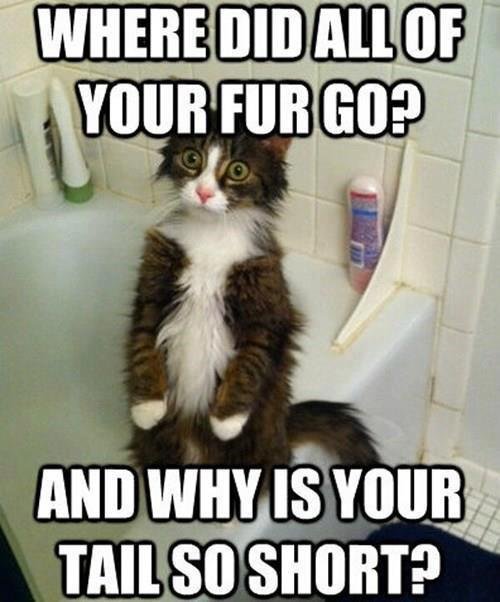 Tammi May's album, Timeline Photos