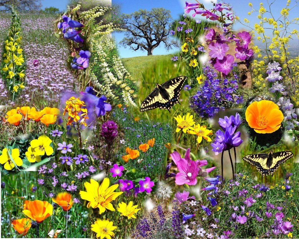 Gina Goodwin's album, Cover Photos