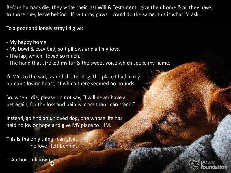 Terry Brown's album, Timeline Photos