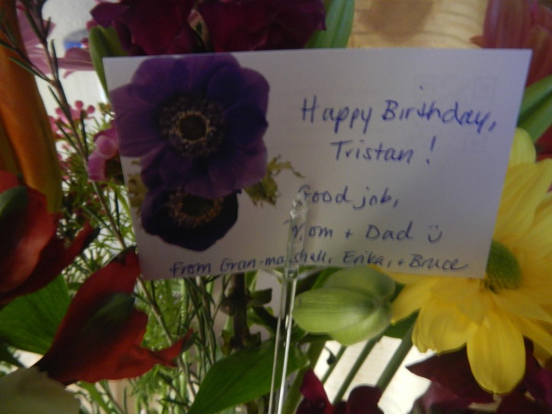 Bruce Englund's album, Michele's first grandchild; Tristan Daniel' born-April 14, 2013