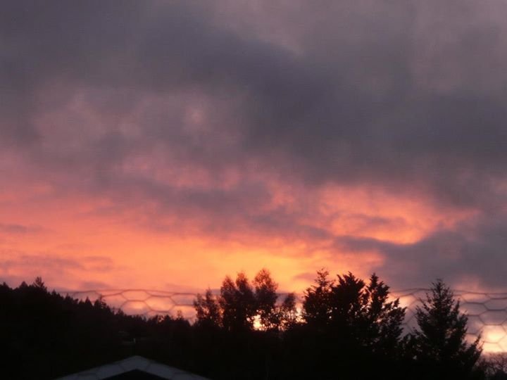 Cheryl Abney's album, sunset around 3/2012