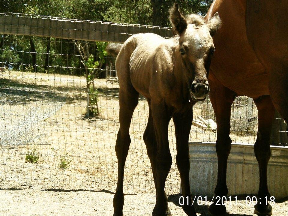 Lisa Phillips' album, Chloe & Milkshake @ 7 hours old