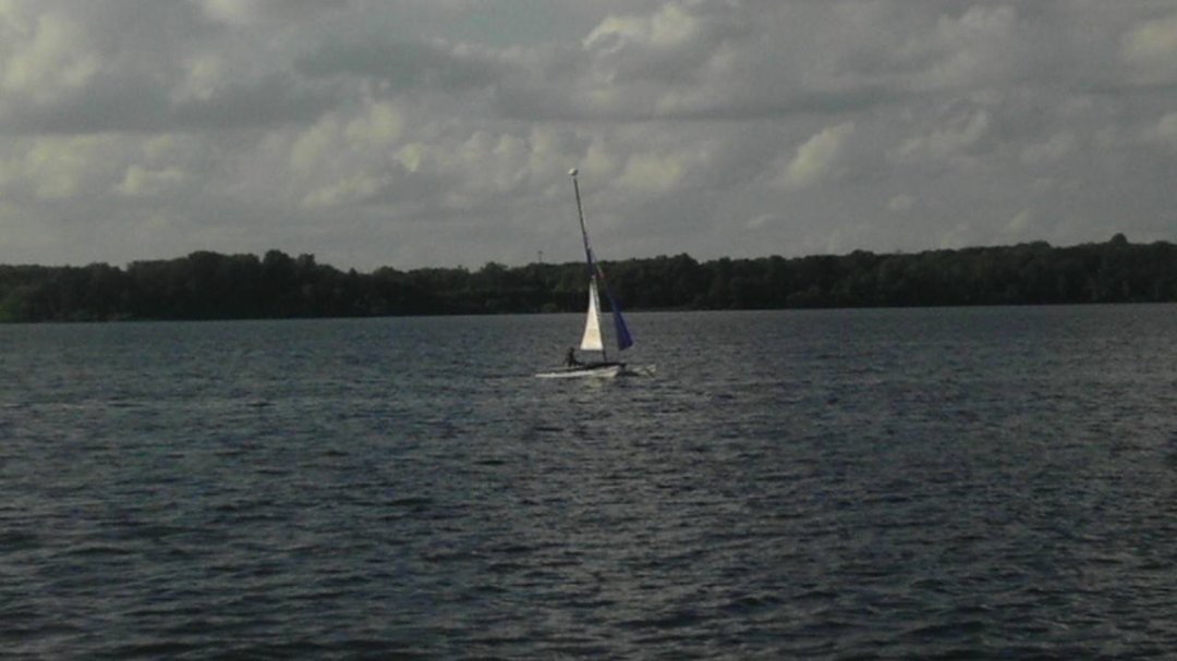 Wayne Newman's album, Mobile Uploads