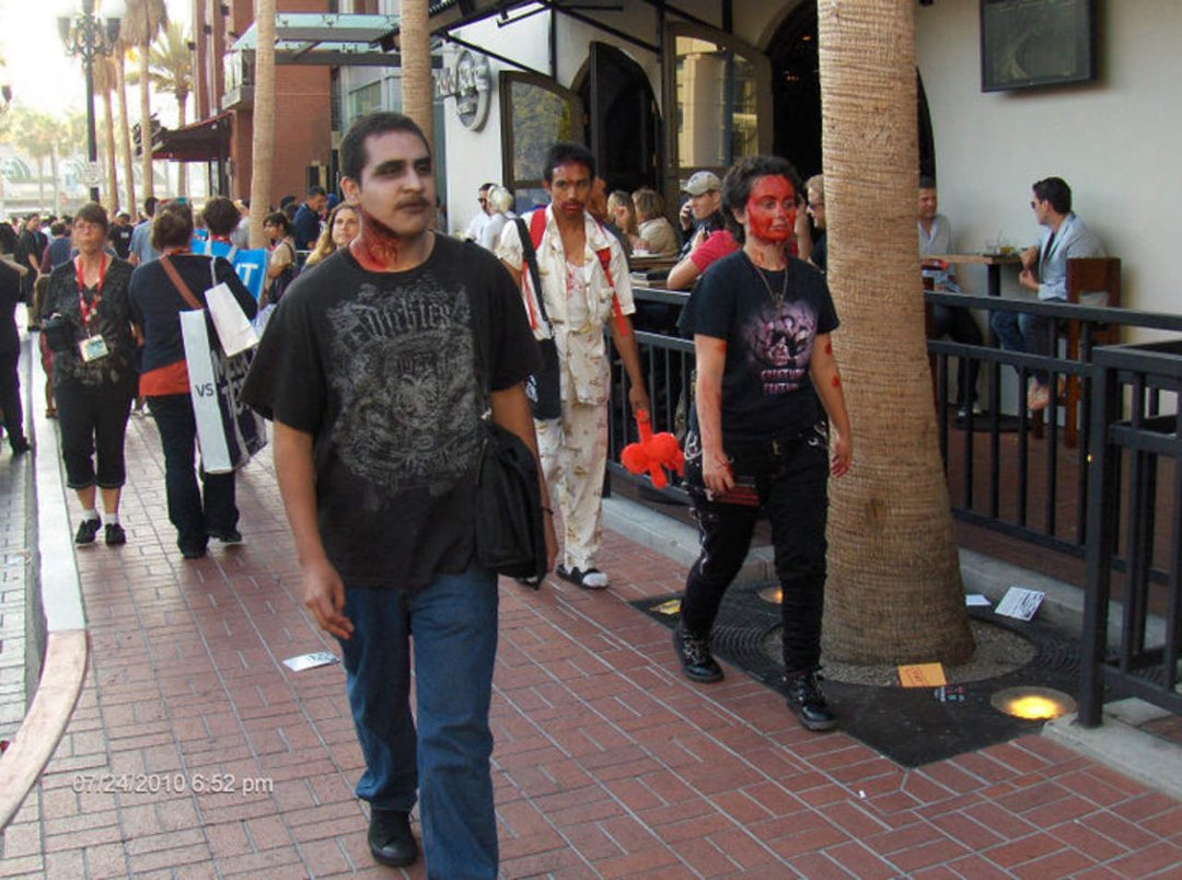 Cecile Fleetwood's album, Cecile's Comic-Con 2010