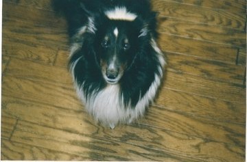 Brian Barker's album, Family pictures
