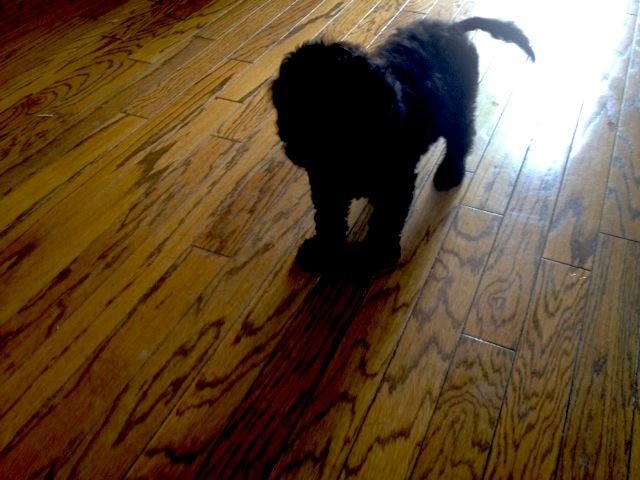 Rob Cicoria's album, Timeline Photos