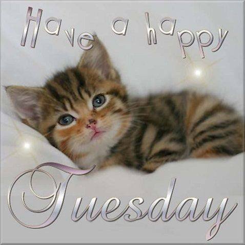 Nancy Brown's album, Timeline Photos