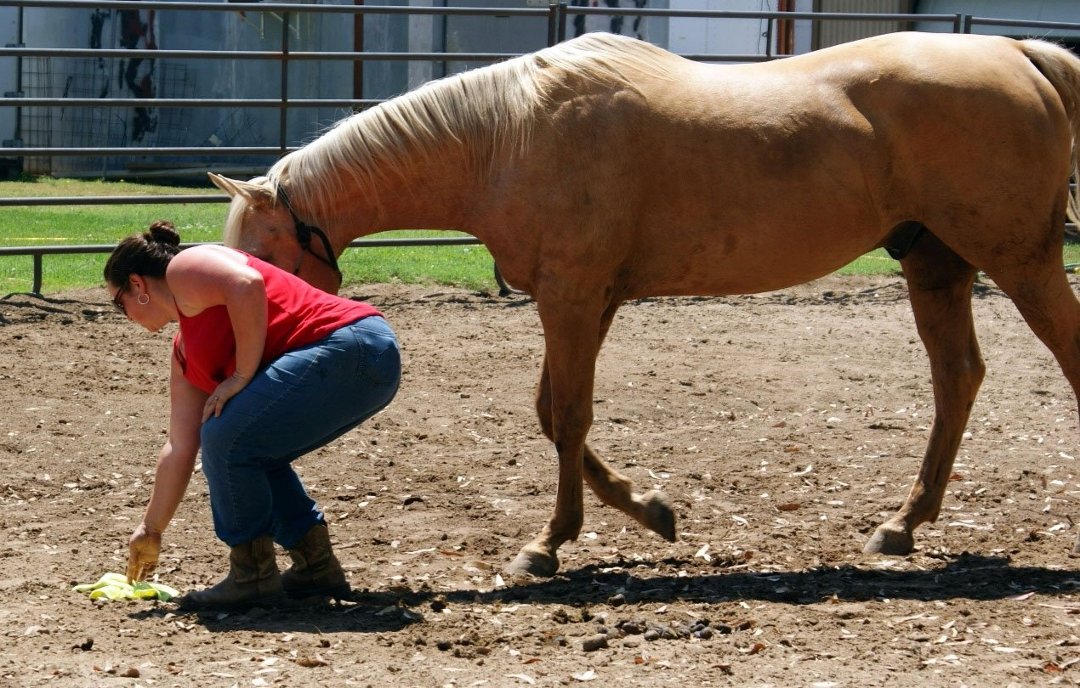 Nikki Elliott-White's album, Christie & Cracker