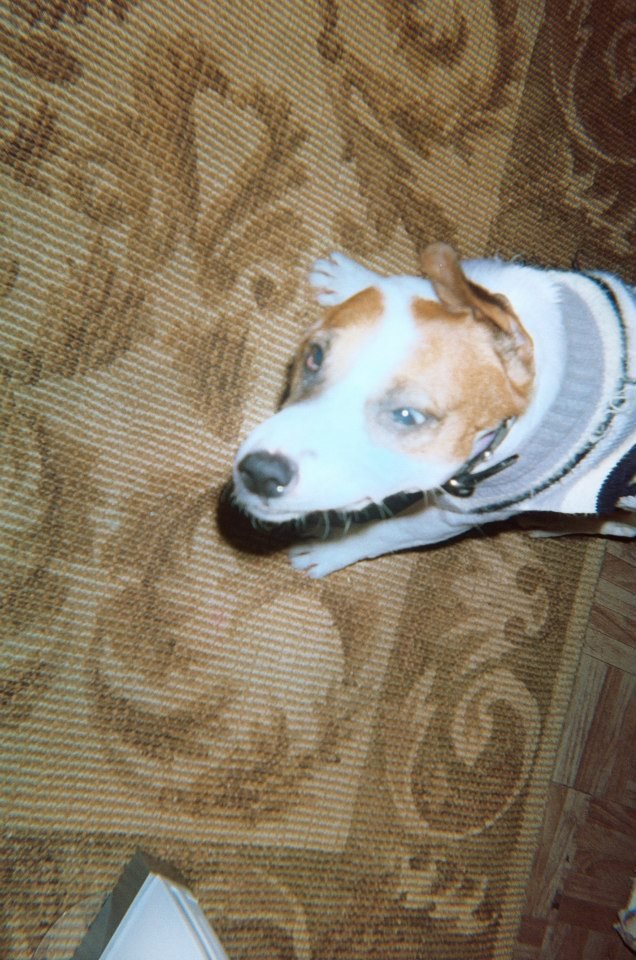 Ruby Hernandez's album, Untitled Album