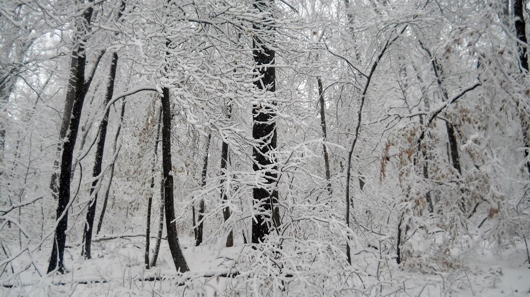 Dennis Weiser's album, Spring snow 2013