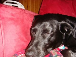 Maribeth Collier's album, March 24, 2011
