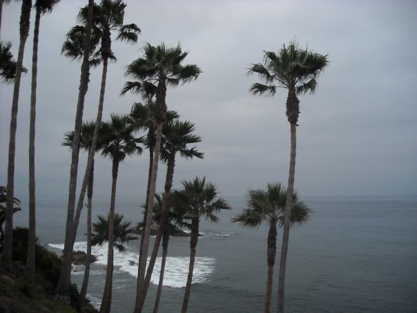 Frank Behrendt's album, California 2009