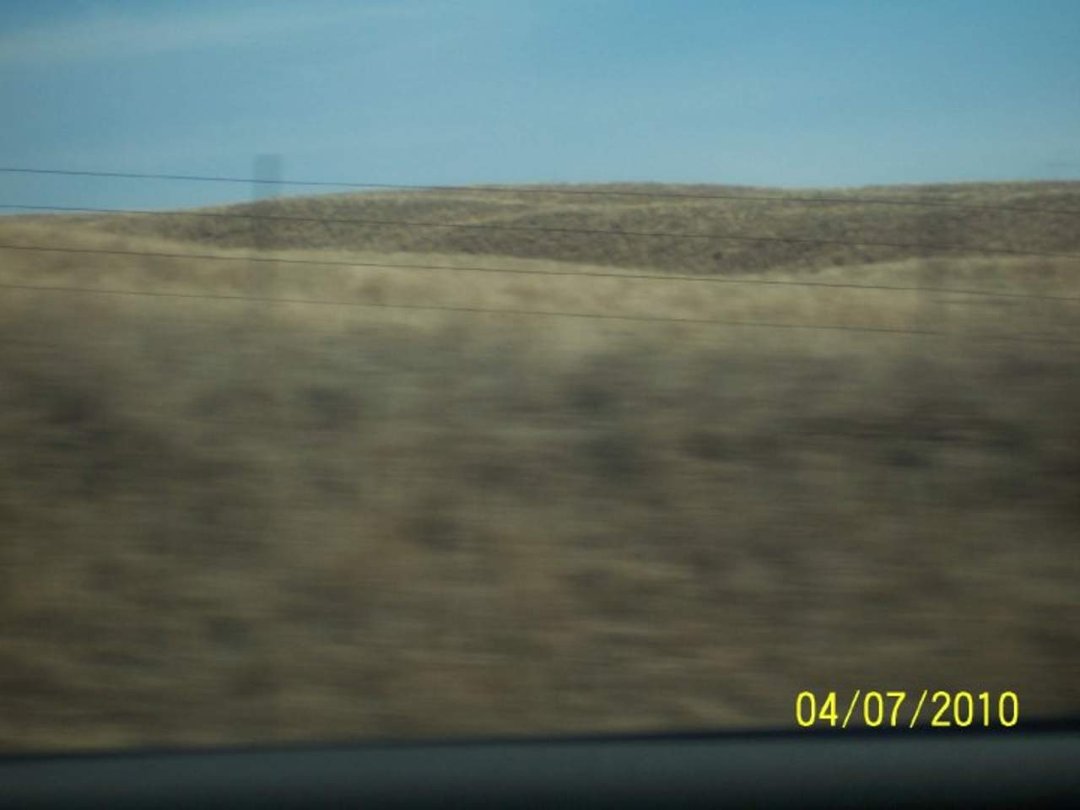 Douglas Heller's album, SpringBreak 2010 - Day 3