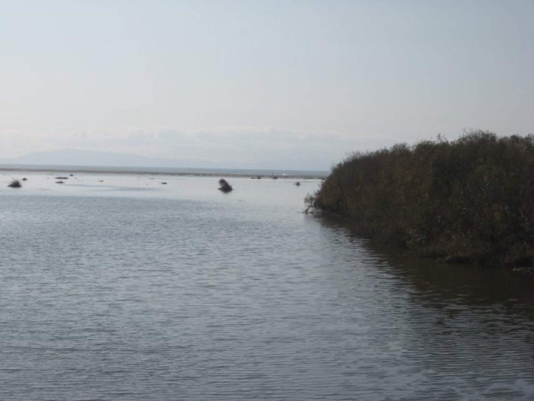 Douglas Mason's album, Mouth of the Santa Clara River in Ventura, CA--December 26, 2009