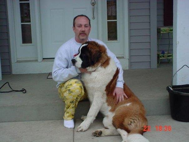 Tim Hadler's album, Profile Pictures