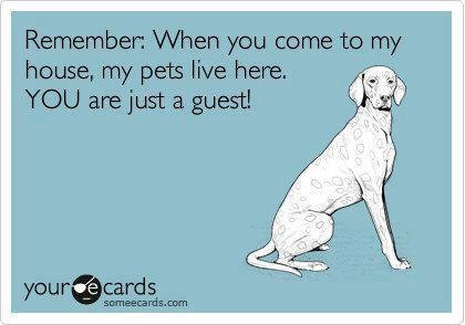 Kurt High's album, Timeline Photos