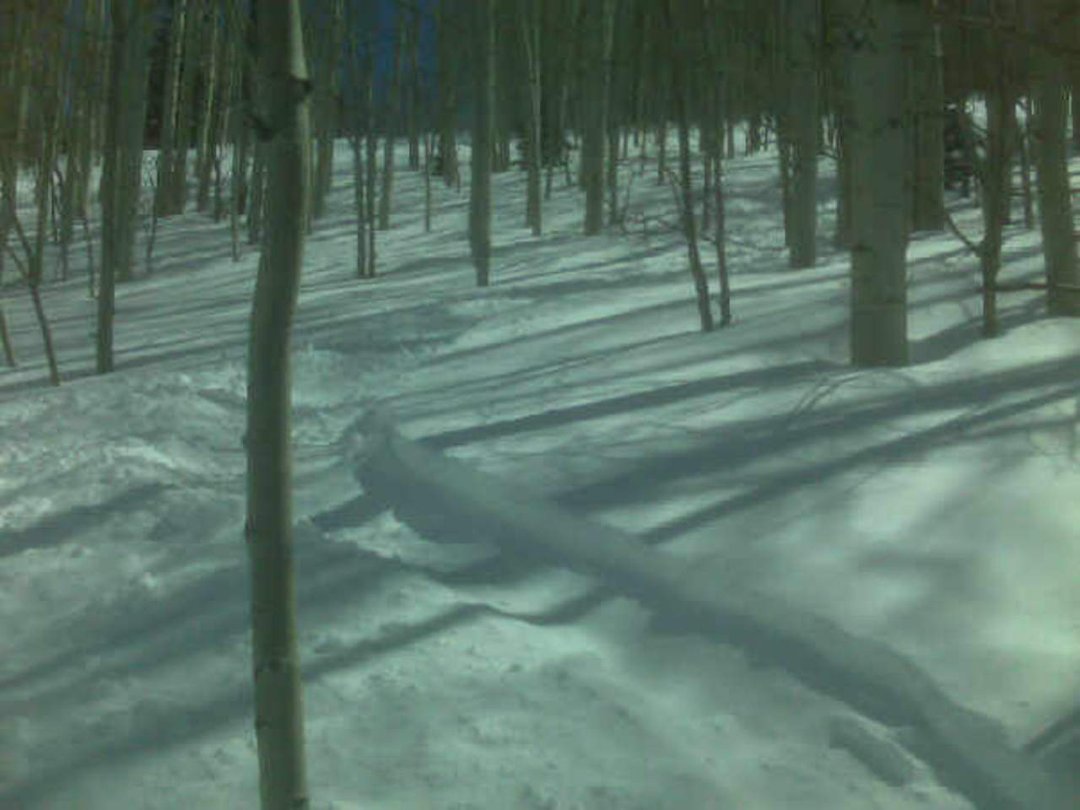 Stephen Breitstone's album, Mobile Uploads