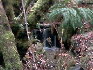 arden post's album, LG Phone Photos
