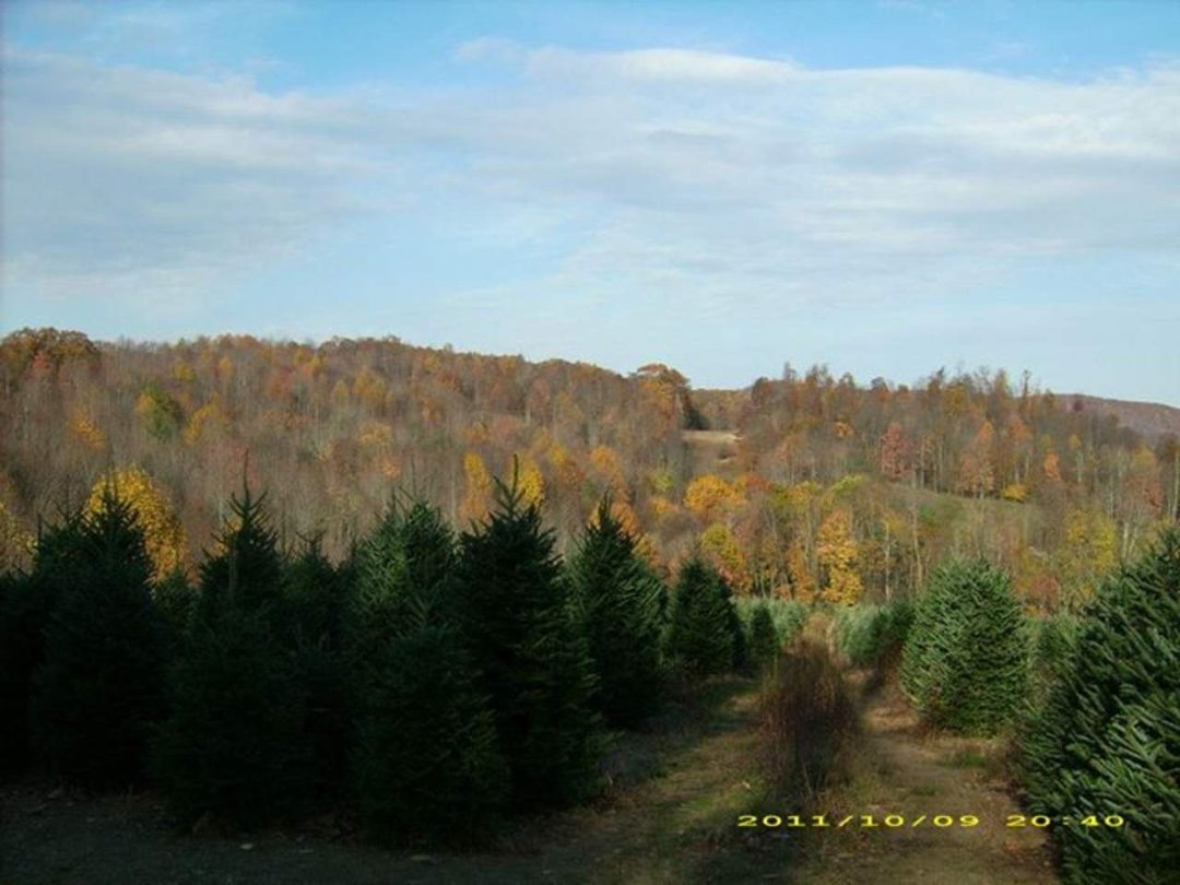 Chris Darnbush's album, The Creeper Trail