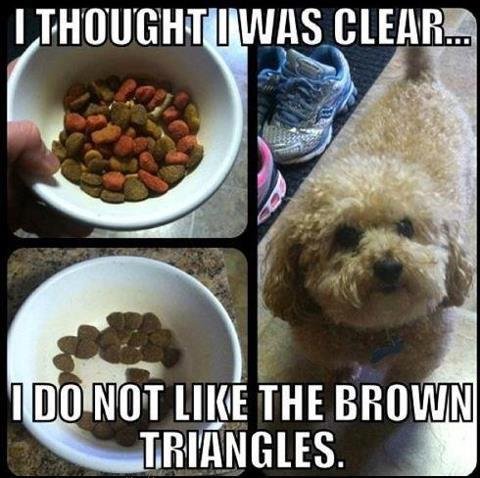 Vicki Zoot's album, Timeline Photos