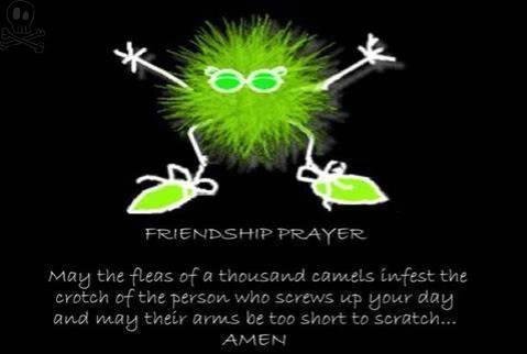 tracy andrus' album, Timeline Photos