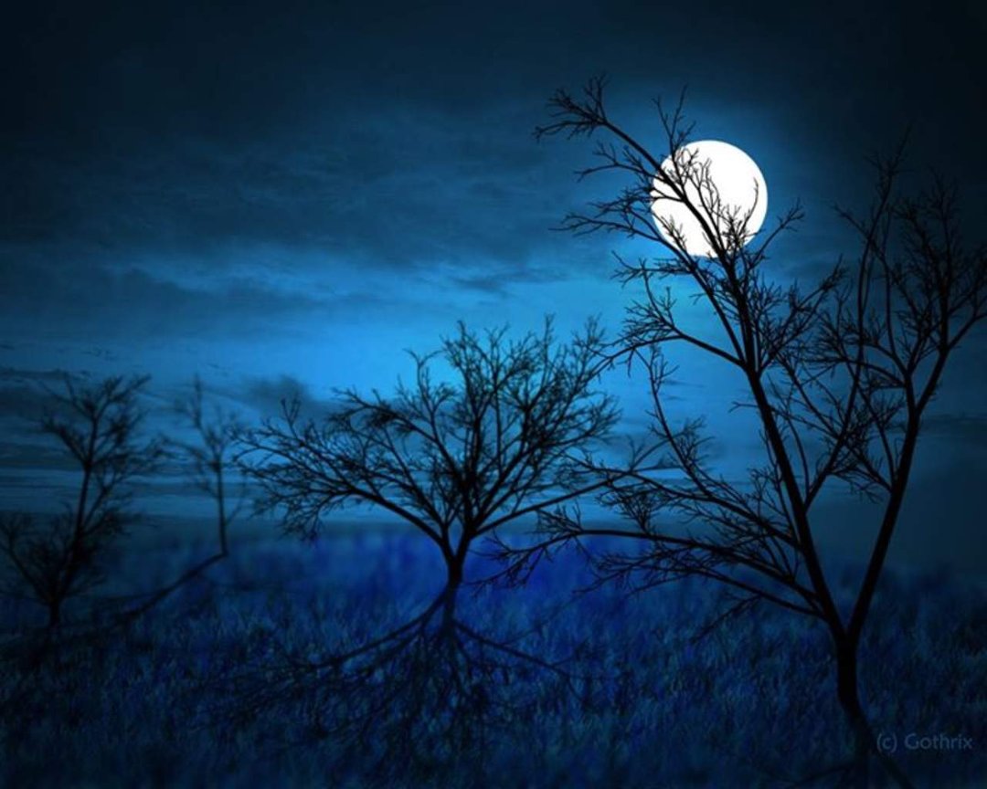Susan Hurst's album, Cover Photos