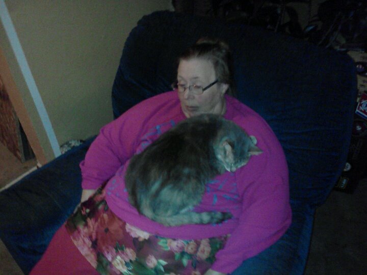 Ron Frank's album, LG Phone Photos