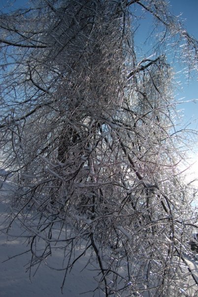 Mike Prather's album, Kentucky Ice Storm 2009