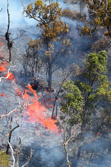 Noa Bourke's album, Kamoamoa Eruption