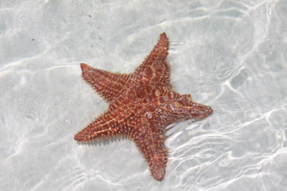 Doris Shubert's album, Providenciales "Provo" Turks and Caicos 2011