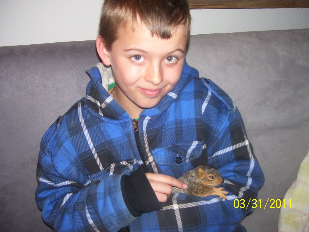 Vickie Streator's album, Kodak EasyShare