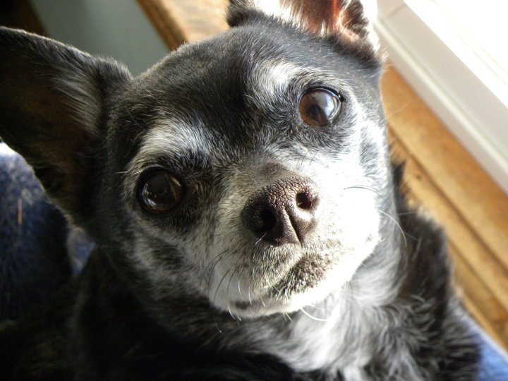 jeff barton's album, chunk
