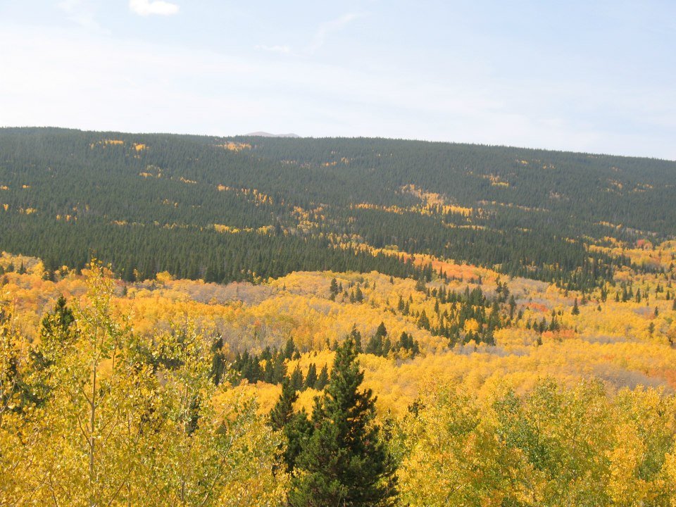 Ray Wampler's album, Fall Colors 2012