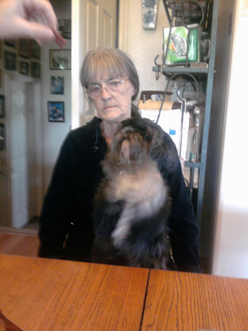 Denise Knoff's album, Mobile Uploads
