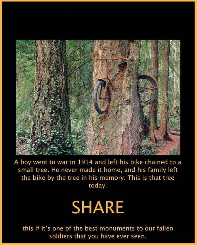 Bob Adams' album, Timeline Photos