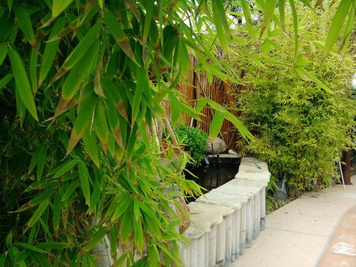 Bob Raymond's album, Bamboo