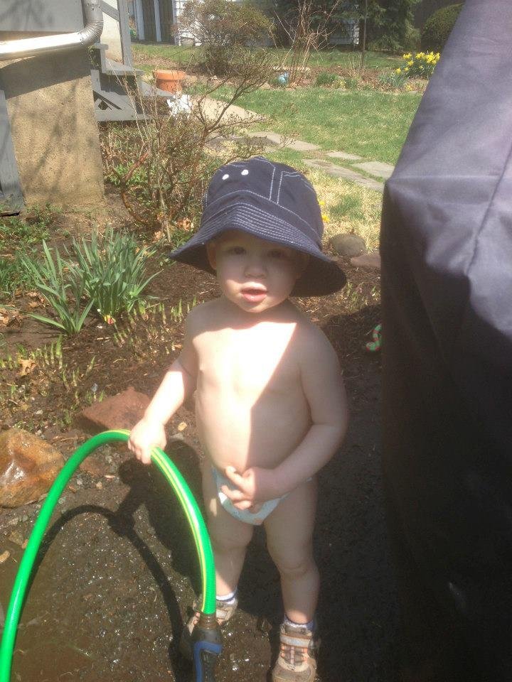 Ryan McDonald's album, The New Gardener