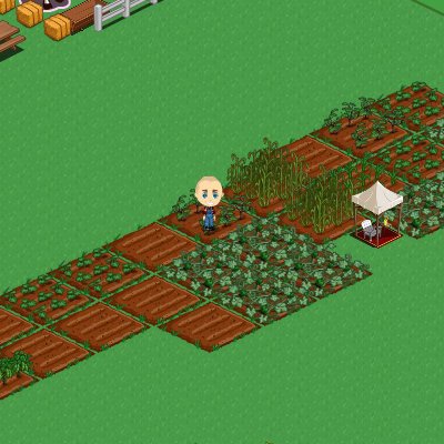Nick Clute's album, FarmVille Photos