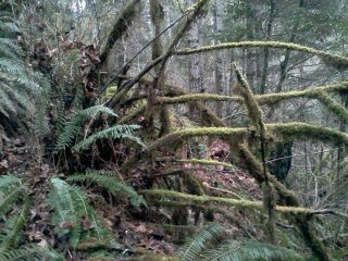arden post's album, LG Phone Photos