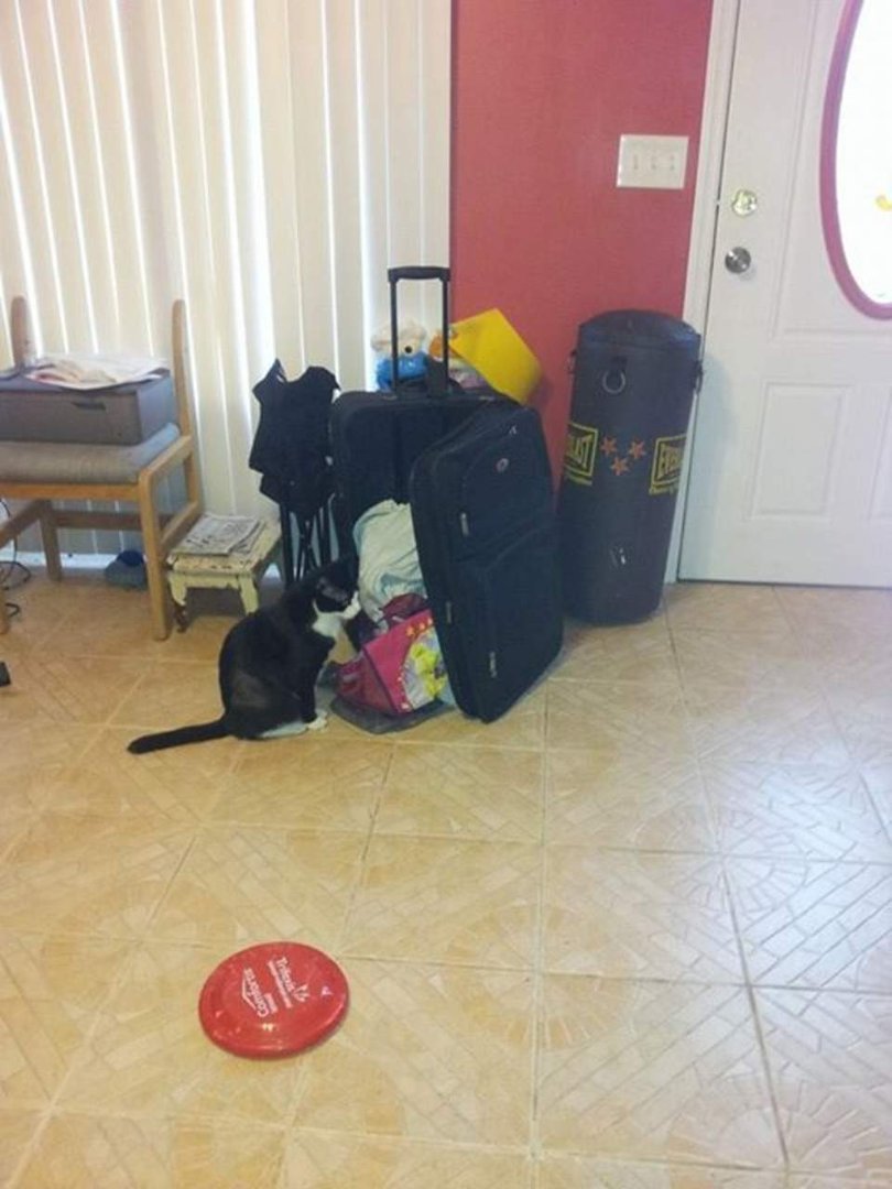 Donna Addler's album, Mobile Uploads