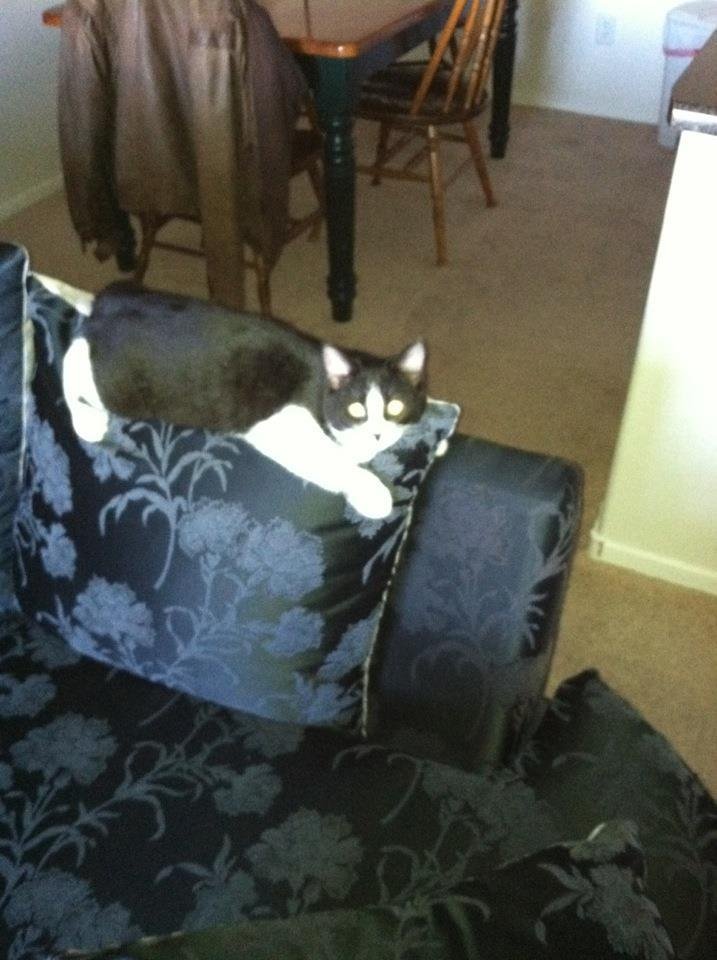 Debbie Cheek's album, Mobile Uploads