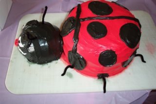 Dawn Kempkes' album, Kara Baby Shower