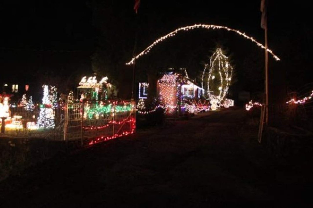 Dennis Bashor's album, Christmas 2009 lights and pets